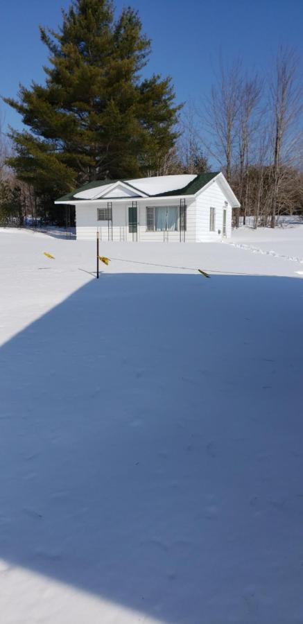 Chapel Hill Motel Brevort Εξωτερικό φωτογραφία